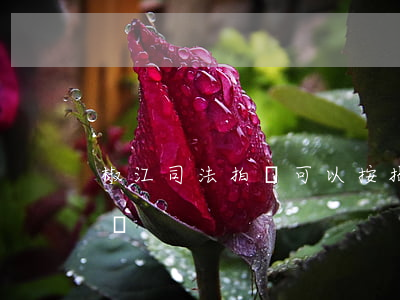 椒江司法拍賣可以按揭嗎(司法拍賣可以貸款嗎)