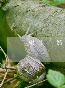 椒江離婚帶什么證件怎么辦