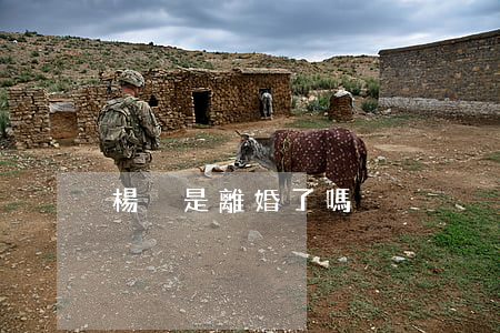 楊冪是離婚了嗎