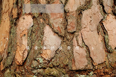 楊凌律師收費標(biāo)準(zhǔn)