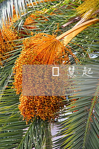 楊慧起訴宋喆離婚