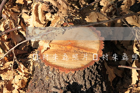 楊村朱磊照片(楊村朱磊照片)