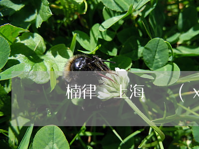 楊楠律師上海(楊學(xué)林律師簡介)