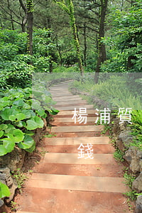 楊浦質(zhì)押合同糾紛律師大概多少錢