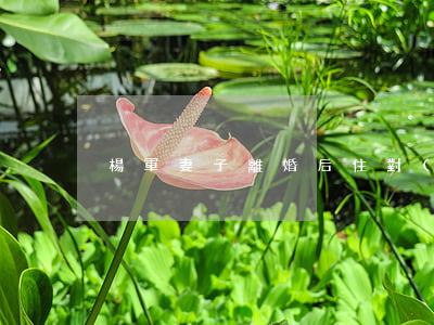 楊軍妻子離婚后住對(duì)面