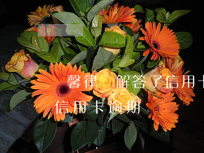 楊馨律師解答了信用卡逾期(楊馨律師解答了信用卡逾期)