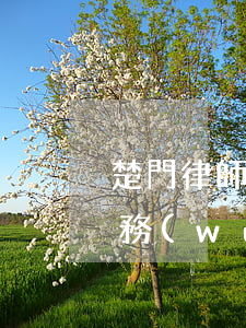 楚門律師事務(wù)所有幾家(楚道律師事務(wù)所)