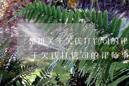 楚雄关于欠钱打官司的律师事务所-楚雄关于欠钱打官司的律师事务所有哪些