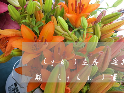 業(yè)主房貸逾期kaifas 房貸逾期嚴(yán)重