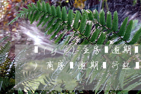 業(yè)主房貸逾期,銀行起訴開發(fā)商（房貸逾期銀行起訴開發(fā)商和我）