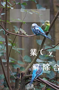 業(yè)主逾期還貸開發(fā)商能否解除合同-業(yè)主逾期還貸開發(fā)商能否解除合同糾紛