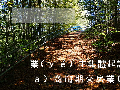 業(yè)主集體起訴開(kāi)發(fā)商逾期交房（業(yè)主集體起訴開(kāi)發(fā)商逾期交房）
