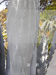 業(yè)務(wù)外包與勞務(wù)派遣是一種意思嗎