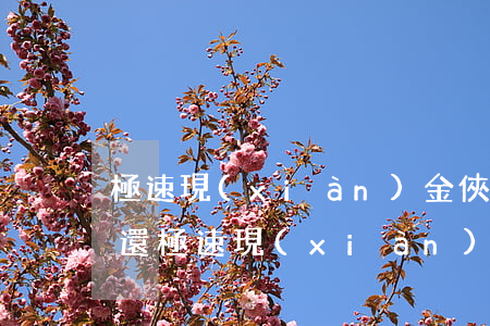 極速現(xiàn)金俠欠2000三年沒還(極速現(xiàn)金貸俠還能用嗎)
