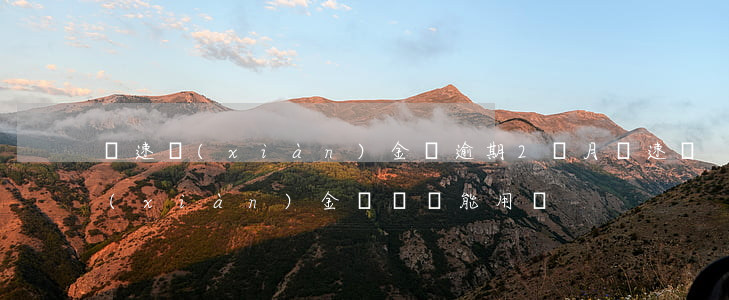 極速現(xiàn)金俠逾期2個月(極速現(xiàn)金貸俠還能用嗎)