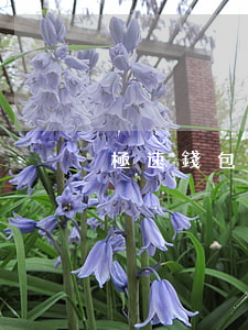 極速錢包逾期4天會怎樣(極速錢包靠譜嗎)