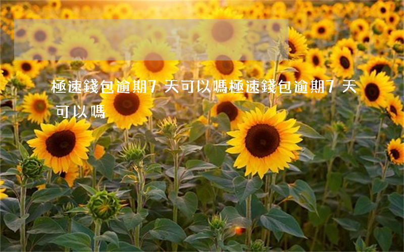 極速錢包逾期7天可以嗎(極速錢包逾期7天可以嗎)
