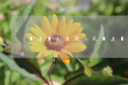 極速錢包逾期三天(極速錢包案件)