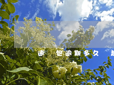 極速錢包逾期多久會起訴