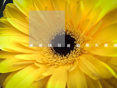 極速錢包逾期幾天爆 極速錢包被公安查了嗎