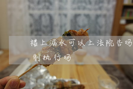 楼上漏水可以上法院告吗(楼上漏水法院能强制执行吗)