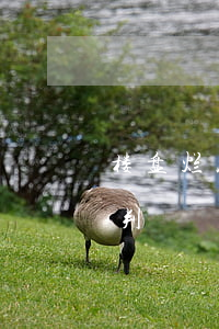 楼盘烂尾购房者要继续还按揭吗？法院这样判！