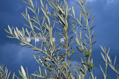 榆林二手房