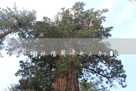 榆林信用卡欠28萬