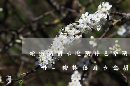 榆林信用卡逾期停息分期申請(qǐng)條件-榆林信用卡逾期停息分期申請(qǐng)條件是什么