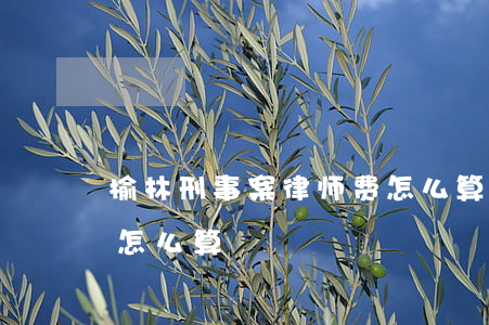 榆林刑事案律师费怎么算(榆林刑事案律师费怎么算)