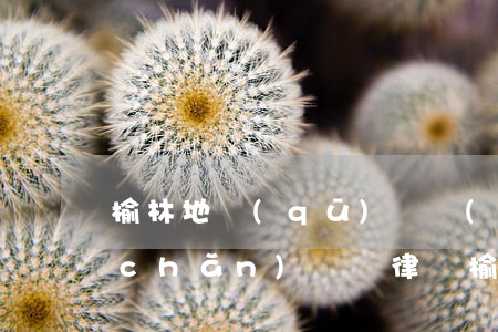 榆林地區(qū)專業(yè)離婚房產(chǎn)糾紛律師(榆林離婚律師咨詢)