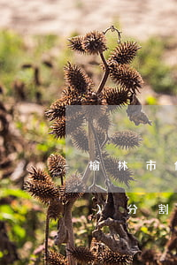 榆林市代理離婚財(cái)產(chǎn)分割律師(榆林離婚手續(xù)在哪辦)