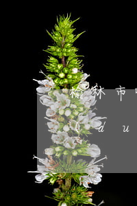 榆林市哪個(gè)律師事務(wù)所對(duì)工傷保險(xiǎn)最好(榆林律師事務(wù)所有哪些)