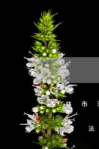 榆林市法院拍賣的房子可以買嗎(榆陽區(qū)法院拍賣房)