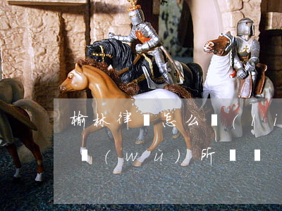 榆林律師怎么聯(lián)系(榆林律師事務(wù)所電話)