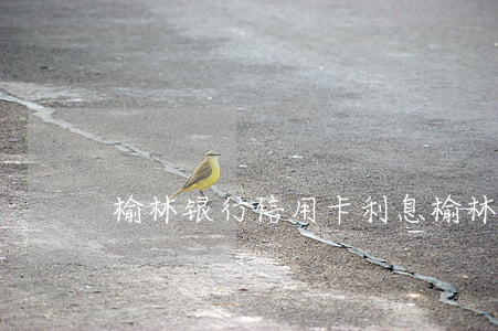 榆林银行信用卡利息(榆林银行招聘信息网)