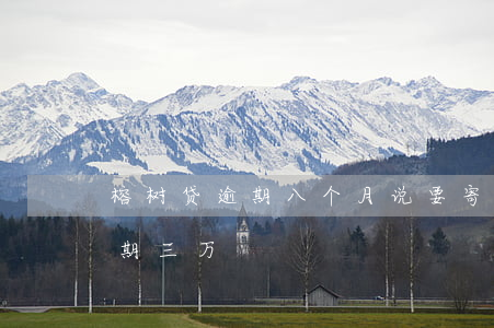 榕树贷逾期八个月说要寄律师函 榕树贷款逾期三万