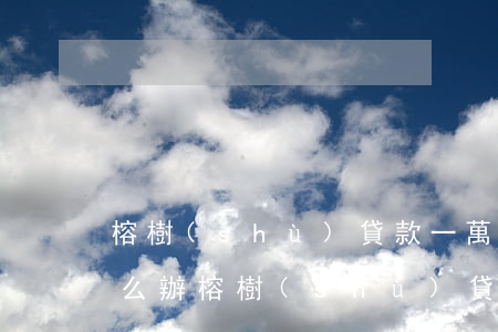 榕樹(shù)貸款一萬(wàn)逾期怎么辦(榕樹(shù)貸款逾期真的會(huì)被起訴嗎?)