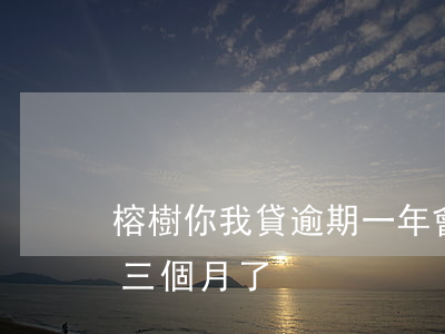榕樹你我貸逾期一年會怎樣(榕樹貸逾期逾期三個月了)