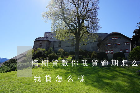 榕樹貸款你我貸逾期怎么辦(榕樹貸里面的你我貸怎么樣)
