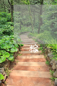榕樹貸款恒易貸可以提前還款嗎-
