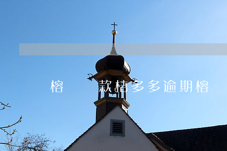 榕樹貸款桔多多逾期(榕樹貸款桔多多放款失敗)