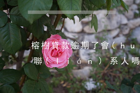 榕樹貸款逾期了會(huì)打電話給緊急聯(lián)系人嗎-榕樹貸款逾期了會(huì)打電話給緊急聯(lián)系人嗎