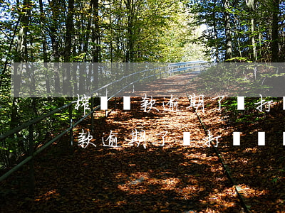 榕樹貸款逾期了會打電話給家人嗎-榕樹貸款逾期了會打電話給家人嗎是真的嗎