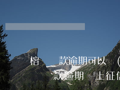 榕樹貸款逾期可以協(xié)商延期嗎(榕樹貸款逾期會上征信嗎)