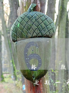 榕樹貸款逾期已經(jīng)六天(榕樹貸逾期一天上征信嗎)