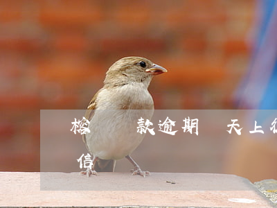 榕樹貸款逾期幾天上征信(榕樹貸款上不上征信)