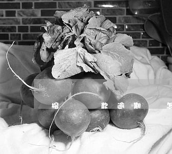 榕樹貸款逾期會怎樣(榕樹貸款逾期一年會怎樣)