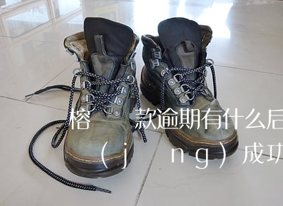 榕樹貸款逾期有什么后果(榕樹貸放款中是已經(jīng)成功了嗎)