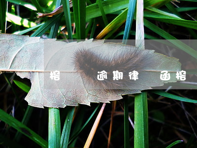 榕樹貸逾期律師函（榕樹貸逾期律師函）